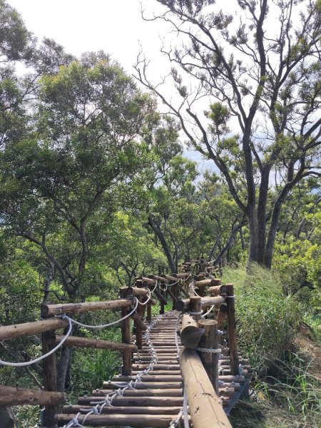 文山步道2848744