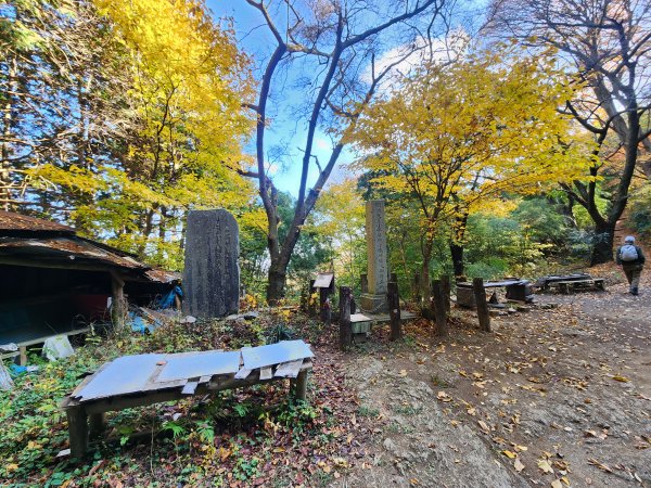 20251127陣馬山至高尾山2959093