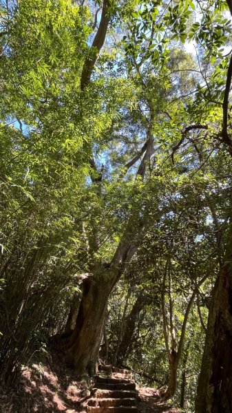 淡水興福寮古道2923327