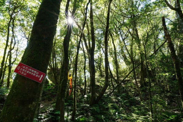 新竹 尖石 內鳥嘴山2899169