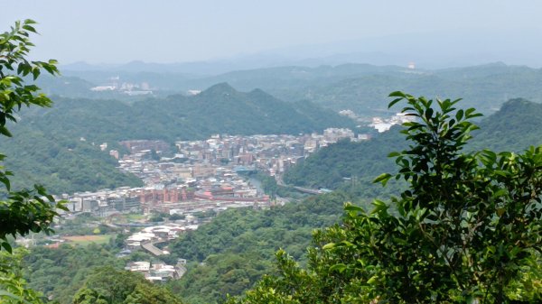 瑞芳區琉榔路觀光步道-小粗坑古道(小粗坑山+粗坑口山)3053302