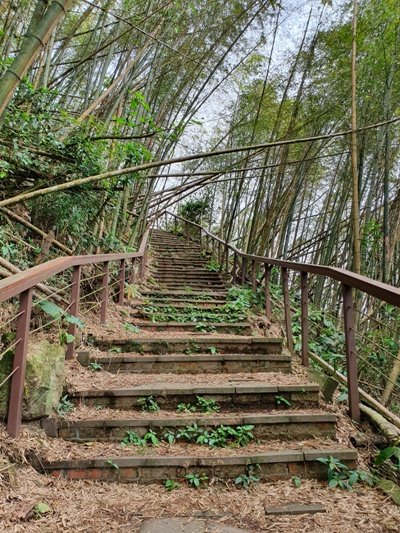 1090405後棟山連走大二尖山908335