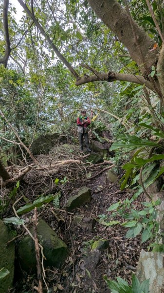 113.12.28小鷹尖-關山嶺-五八山-凌雲尖-龍女岩之旅2679377