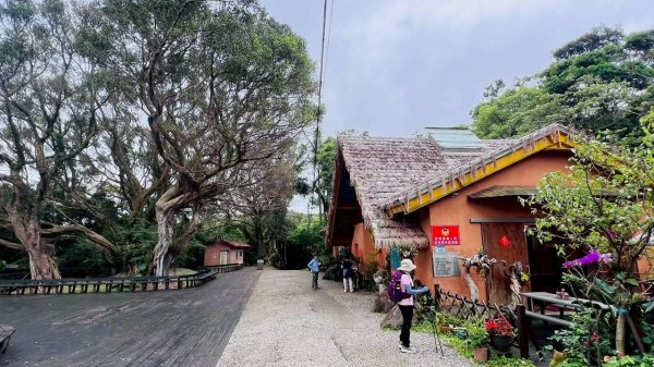 🌈5/9（六）南崁五酒桶山步道×竹圍漁港✨FB：熊熊趴爬走~歡迎加入🌈3050855