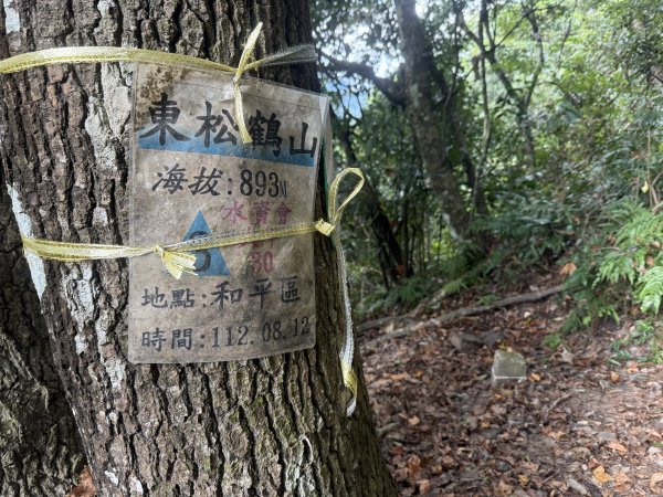 回程下雨的 松鶴上 八仙山 202510252925767