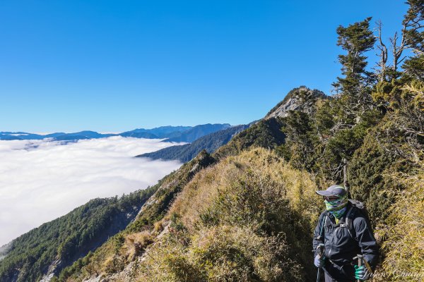 [百岳]南橫三星與關山2025770