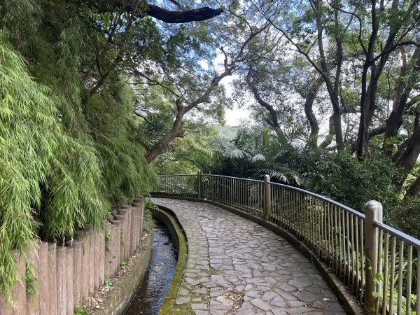 2024_1020 貴子坑親山步道2634256