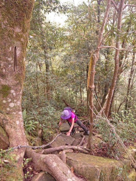 那結山（嘎色鬧部落線）893462