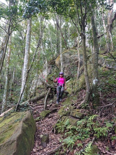 那結山（嘎色鬧部落線）893435