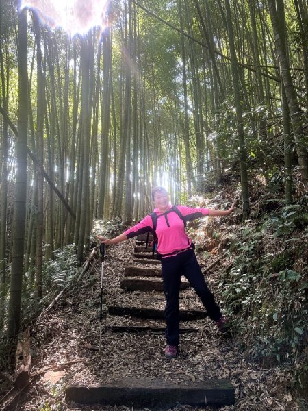 嘉南雲峰、九穹神木3014468