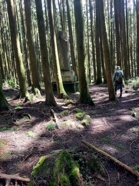 20231025⛰️二萬坪山 🌲黑森林🌲樹抱石 奮起湖老老街2326725