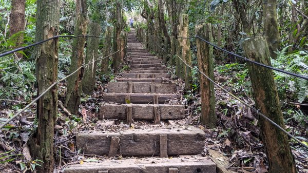 關仔嶺大凍山步道1448311