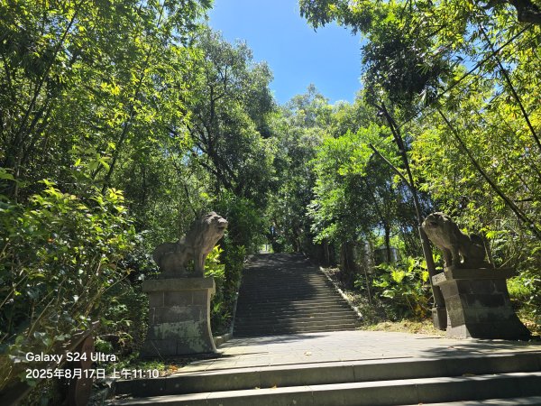 2025-08-17臺北大縱走第七段：世界山莊至飛龍步道政大後山2862372