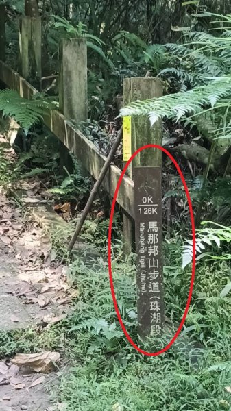 20251004 馬那邦山 - 珠湖 登山口2904986