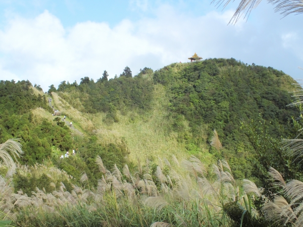 步道小旅行-賞芒聖地五分山3876