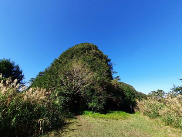 20230212 新店獅仔頭山（小百岳）封面