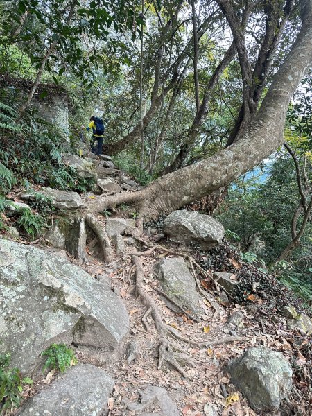 20221230 谷關七雄-八仙山單攻(二訪)2315608