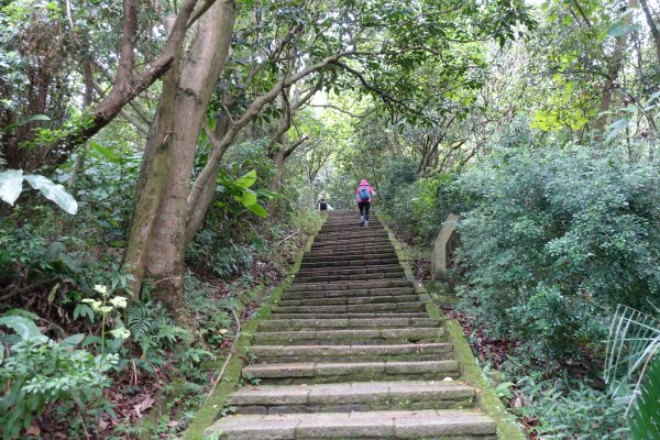 虎山自然步道．麗山橋口步道1098175