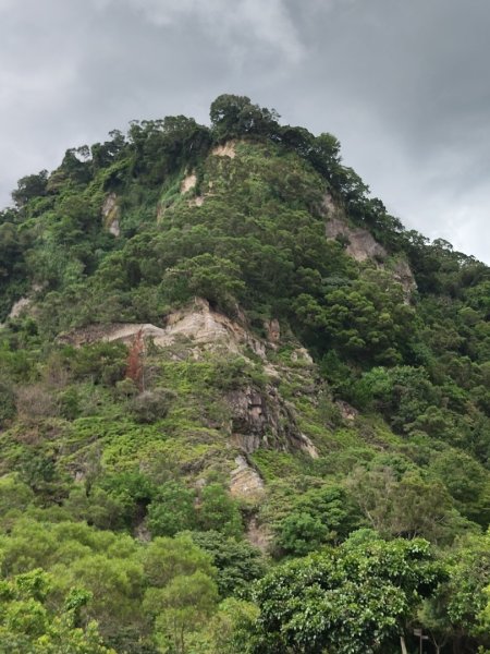 貴子坑報山步道2849843