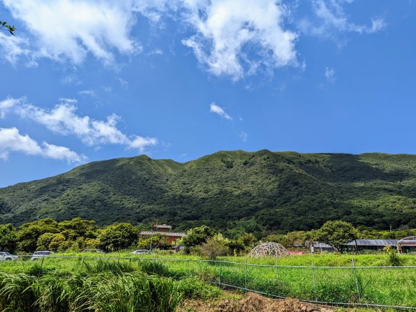 竹子湖步道群悠遊行1853523