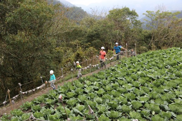 阿興阿賢栗松溫泉805501