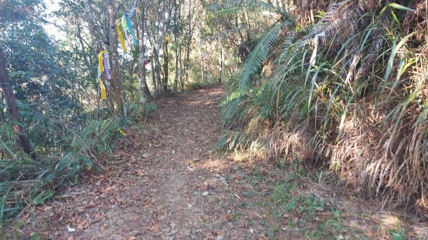 守城大山路徑探索1260133