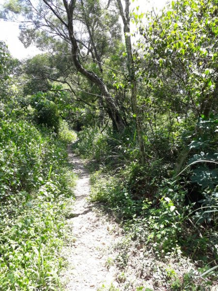 彰化芬園挑水古道碧山古道20190630620227