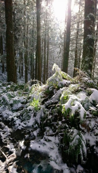 冰雪奇緣歷險記～加羅湖（未盡）1237592