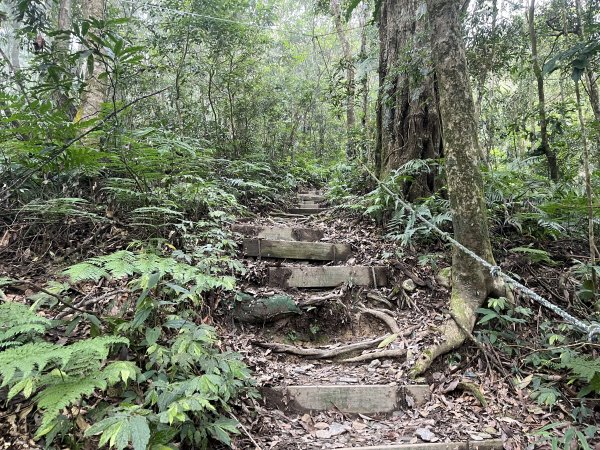 [屏步青雲 尋寶任務-02/10] 2024_0916 尾寮山登山步道2597406