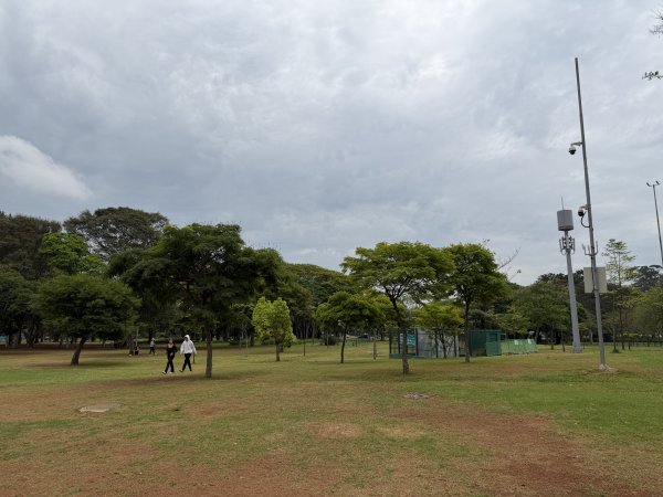 [紐約馬之行-67] 2025_1116 伊比拉布埃拉公園-上2955040