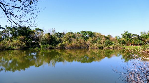 羅東運動公園2690155