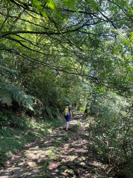 台北 陽明山 絹絲瀑布-擎天崗2722160