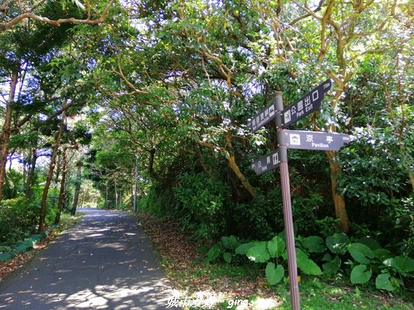 【新北。金山】獅頭山公園步道~遠眺金山八景之燭臺雙嶼1458201