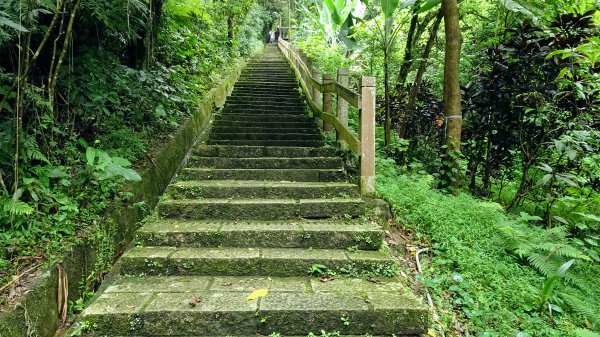 豹山環型步道2226655