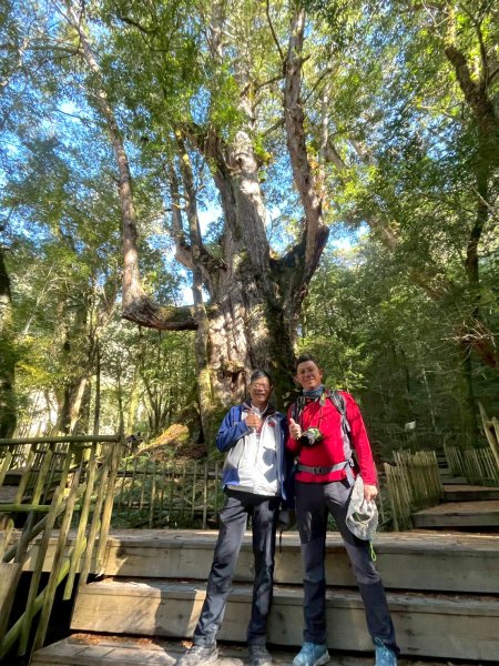 20260104司馬庫斯 &巨木群攀登2978848