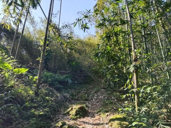 五堵獅頭山無菸步道2969485