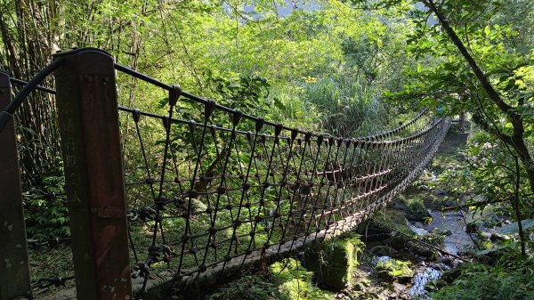 柴寮古道、中坑古道2814657