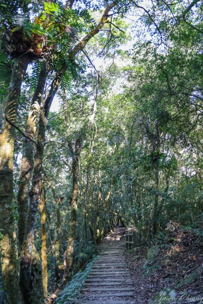 [苗栗]馬那邦山2355191