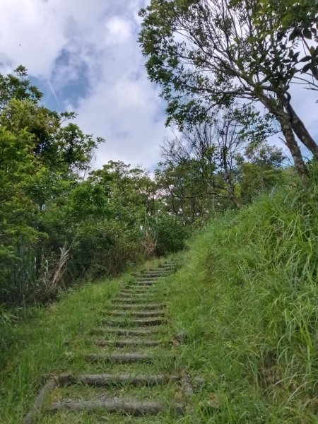 坪林區司公髻尾山+虎寮潭吊橋+粗石斛吊橋+大舌湖步道+漁光派出所2794284