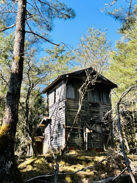 2026_0313花蓮高嶺瞭望台