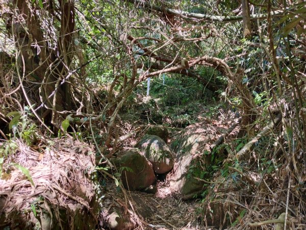 汐止區小溪瀑布+車坪寮土地公稜線2890147