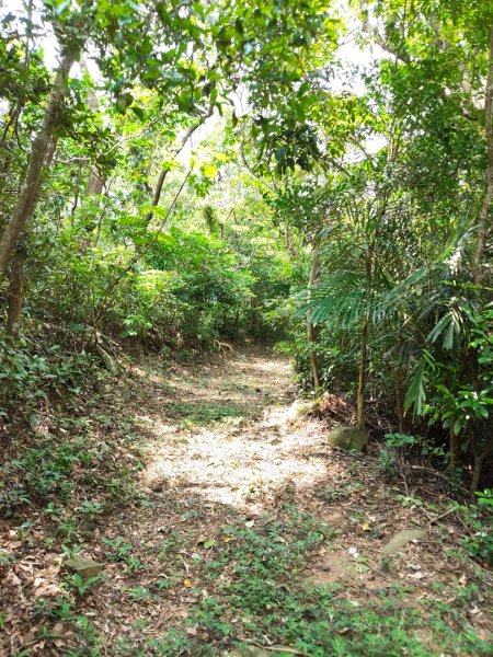 古華山&士文部落2854772