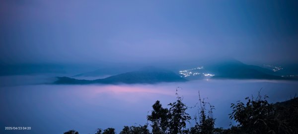 #翡翠水庫 #鱷魚島  #藍腹鷴 4/232768275