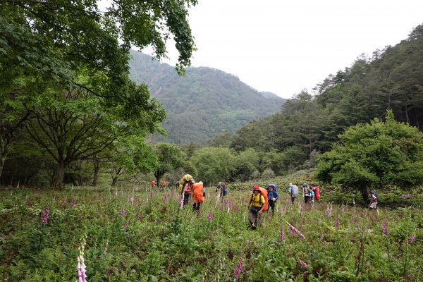 用雙腳看台灣-大南三段-六順山~七彩湖580549