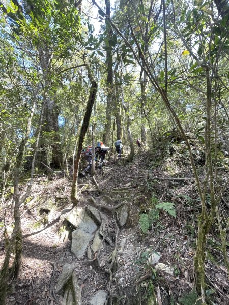 石山秀湖 2025 02/28 三天兩夜2865953