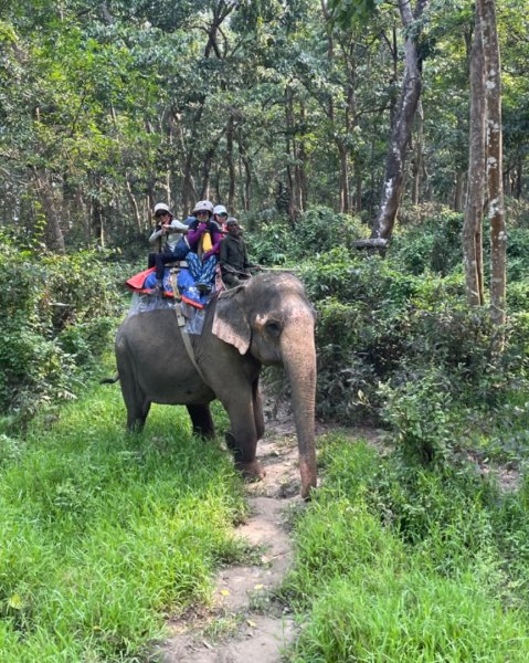 尼泊爾奇旺國家公園4天三夜2788893