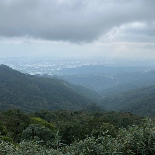 步道巡訪員 l 109年12月聖母登山步道尋訪1206953