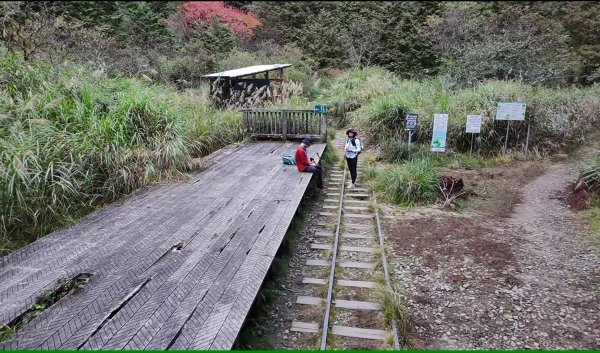 阿里山眠月線2972778