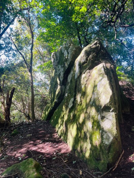 1141116油羅山2946425