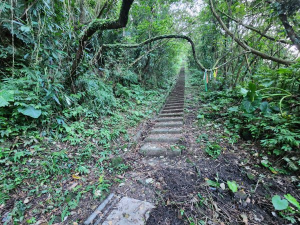 20241201侯硐復興煤礦三貂嶺山大小粗坑O型2681268